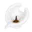 Picture of Angel Wing Resin Incense Cone Burner