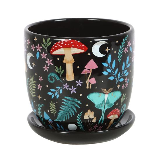 Picture of Dark Forest Print Ceramic Plant Pot with Saucer