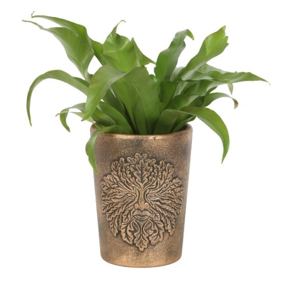 Picture of Green Man Bronze Terracotta Plant Pot by Lisa Parker