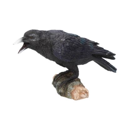 Picture of Raven's Call 20cm