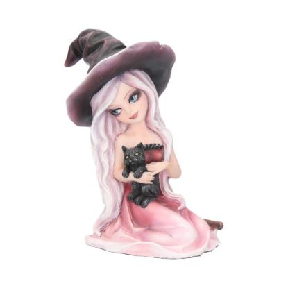 Picture of Rosa 15cm