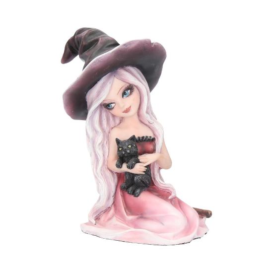 Picture of Rosa 15cm