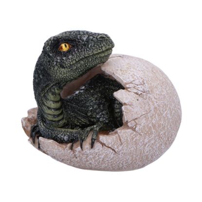 Picture of Raptors Dawn 10cm