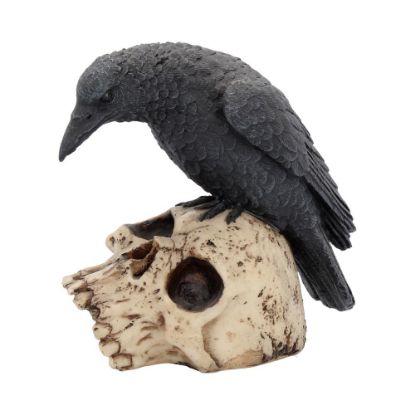 Picture of Ravens Remains 13cm