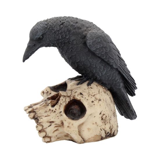 Picture of Ravens Remains 13cm