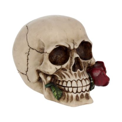 Picture of Rose From the Dead 15cm