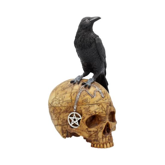 Picture of Salems Familiar 27cm