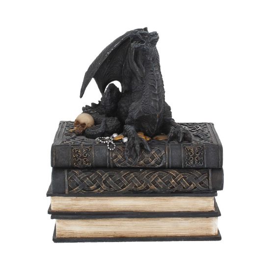 Picture of Secrets Of The Dragon 19cm