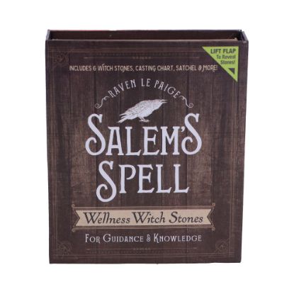 Picture of Salem's Spell Kit