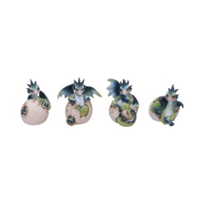 Picture of Hatchlings Emergence (Set of 4) 8cm