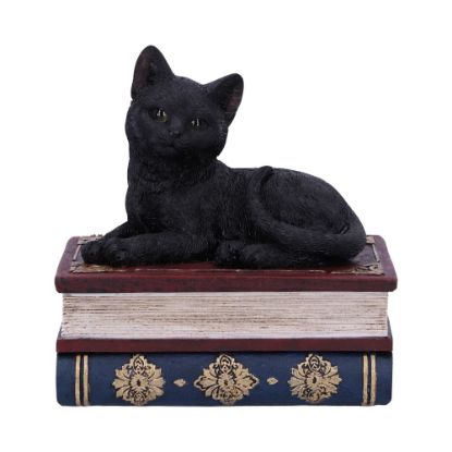Picture of Salems Spells 11.7cm