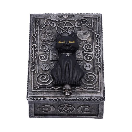 Picture of Familiar Spell Box 13.7cm