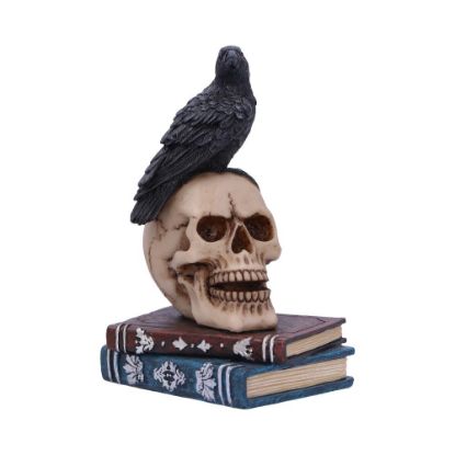 Picture of Raven's Spell 10.3cm