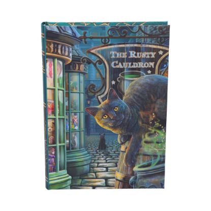 Picture of Rusty Cauldron Journal (LP) 17cm