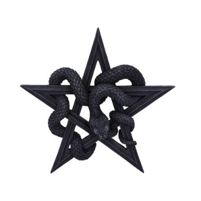 Picture of Serpent's Worship 24cm