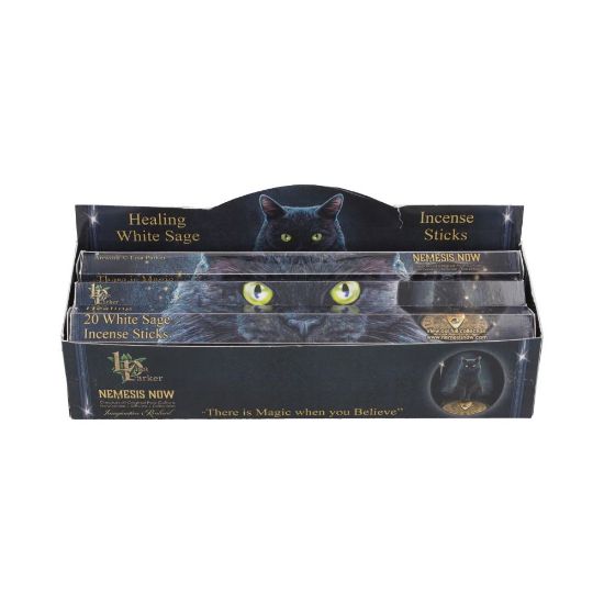 Picture of Healing Incense Sticks White Sage (LP)