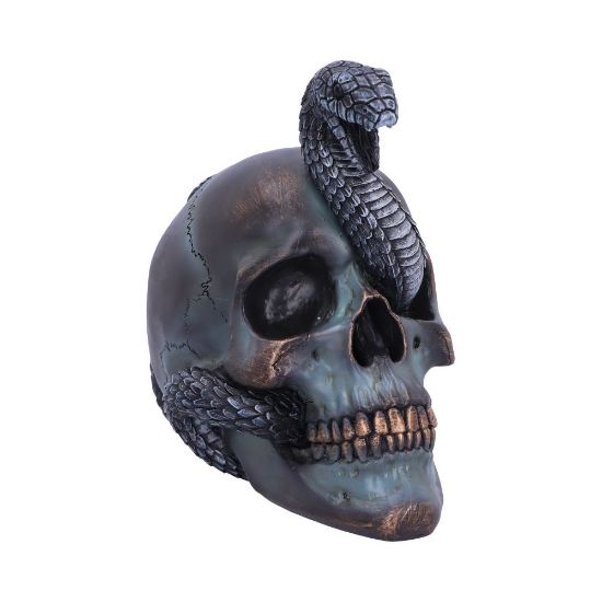 Picture of Serpentine Fate 19cm