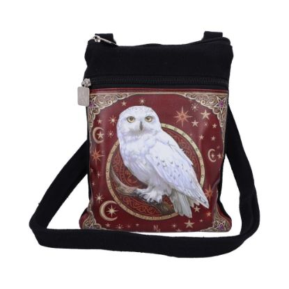 Picture of Magical Flight Shoulder Bag 23cm