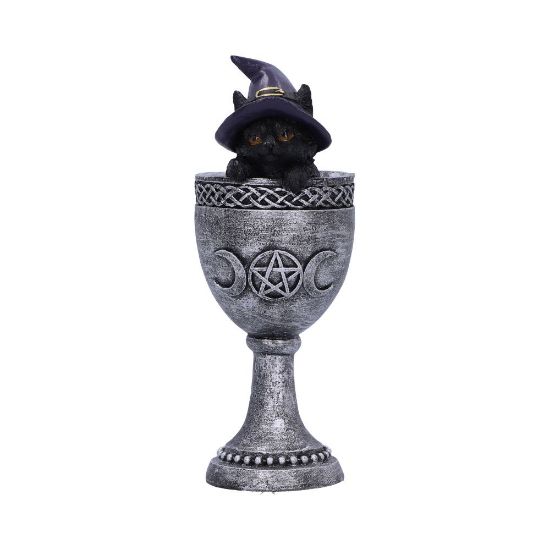 Picture of Coven Cup 15.7cm