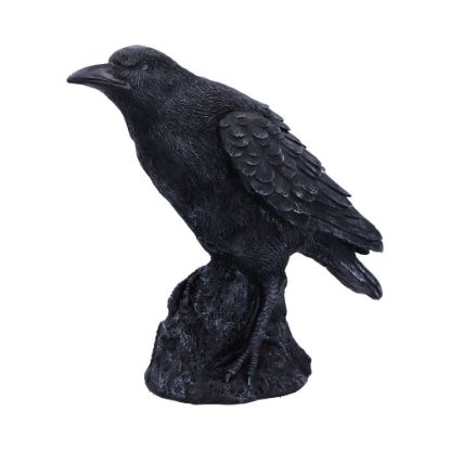 Picture of Raven Messenger 25cm
