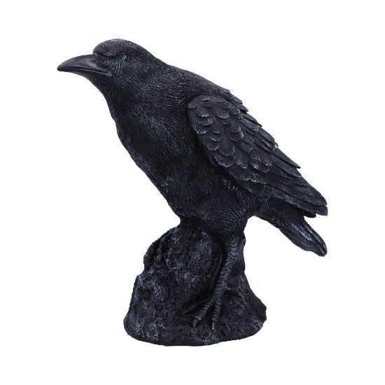 Picture of Raven Messenger 25cm