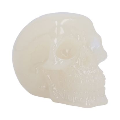 Picture of Phosphorescent 10.5cm (Small)