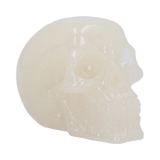 Picture of Phosphorescent 10.5cm (Small)