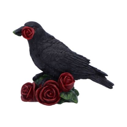 Picture of Rose of the Raven 14cm