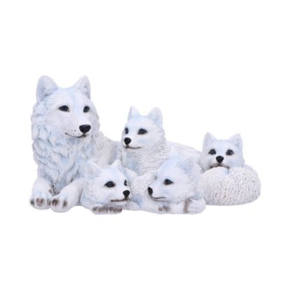 Picture of Pups Protection 20.5cm