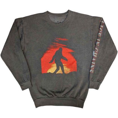 Picture of Alice In Chains Unisex Sweatshirt: Sasquatch Sunset Sleeve Print