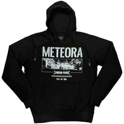 Picture of Linkin Park Unisex Pullover Hoodie: Meteora Wall Art