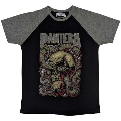 Picture of Pantera Unisex Raglan T-Shirt: Serpent Skull