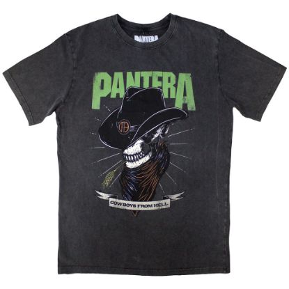 Picture of Pantera Unisex Stone Wash T-Shirt: Skeleton Cowboy