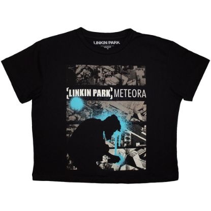 Picture of Linkin Park Ladies Crop Top: Meteora Drip Collage
