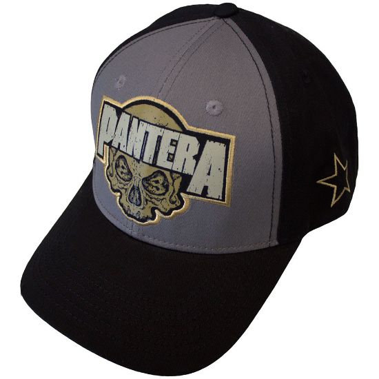 Picture of Pantera Unisex Mesh-Back Cap: Skull (Side Print)