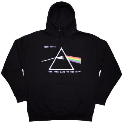 Picture of Pink Floyd Unisex Pullover Hoodie: Dark Side of the Moon Courier