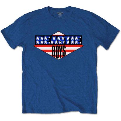 Picture of The Beastie Boys Unisex T-Shirt: American Flag