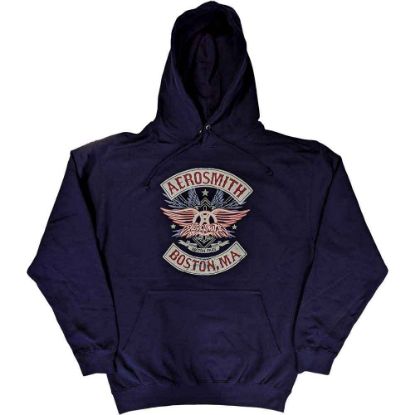 Picture of Aerosmith Unisex Pullover Hoodie: Boston Pride