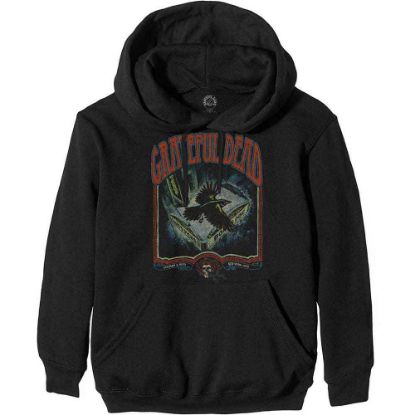 Picture of Grateful Dead Unisex Pullover Hoodie: Vintage Poster