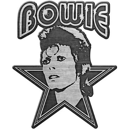 Picture of David Bowie Pin Badge: Aladdin Sane