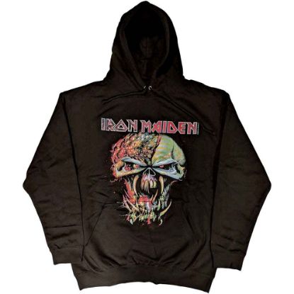 Picture of Iron Maiden Unisex Pullover Hoodie: Final Frontier Big Head