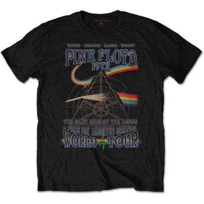 Picture of Pink Floyd Unisex T-Shirt: Assorted Lunatics